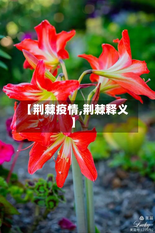 【荆棘疫情,荆棘释义】-第3张图片