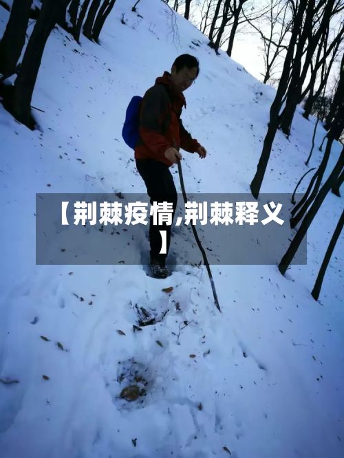 【荆棘疫情,荆棘释义】-第2张图片