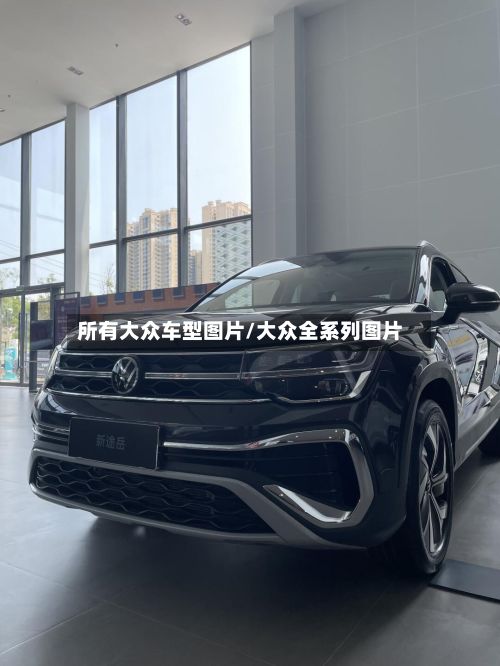 所有大众车型图片/大众全系列图片-第2张图片