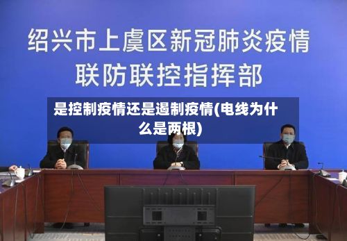 是控制疫情还是遏制疫情(电线为什么是两根)-第2张图片