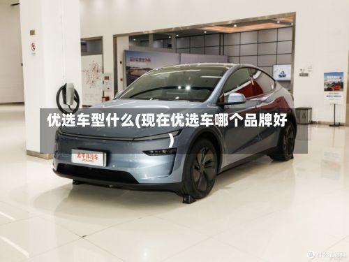 优选车型什么(现在优选车哪个品牌好)