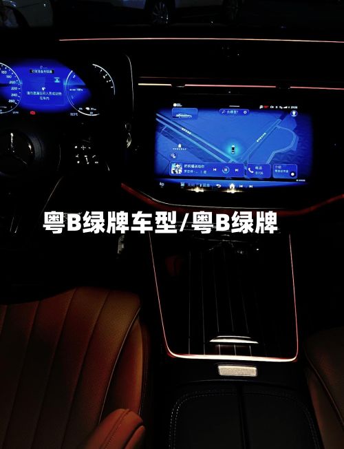 粤B绿牌车型/粤B绿牌
