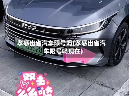 孝感出省汽车限号吗(孝感出省汽车限号吗现在)-第2张图片