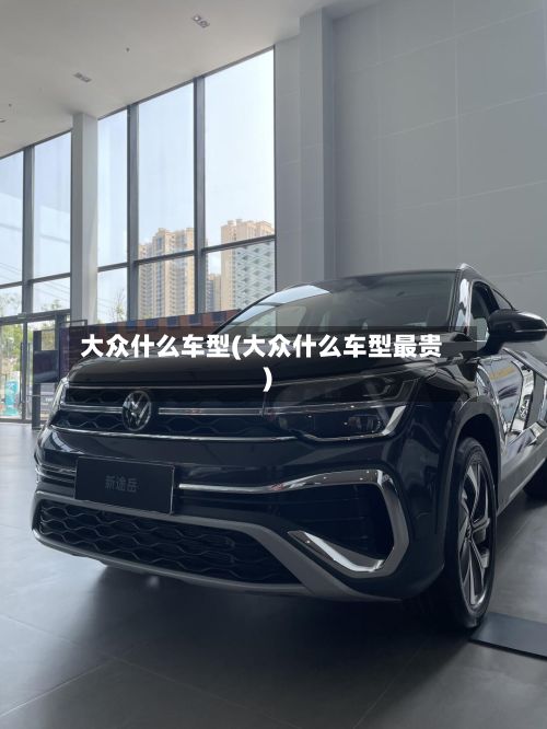 大众什么车型(大众什么车型最贵)-第2张图片