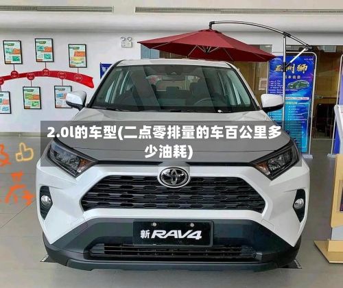 2.0l的车型(二点零排量的车百公里多少油耗)