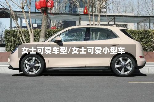 女士可爱车型/女士可爱小型车