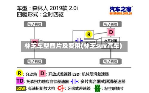 林芝车型图片及费用(林芝suv汽车)-第3张图片