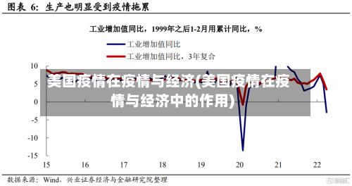 美国疫情在疫情与经济(美国疫情在疫情与经济中的作用)-第3张图片