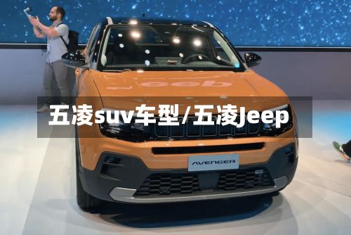五凌suv车型/五凌Jeep-第2张图片