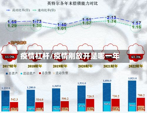 疫情杠杆/疫情刚放开是哪一年-第3张图片
