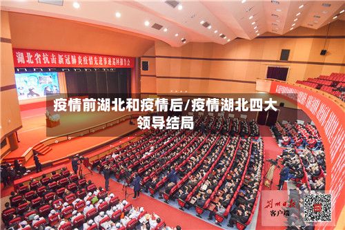 疫情前湖北和疫情后/疫情湖北四大领导结局
