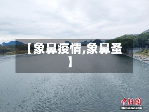 【象鼻疫情,象鼻蚤】-第2张图片