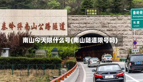 南山今天限什么号(南山随道限号吗)-第2张图片
