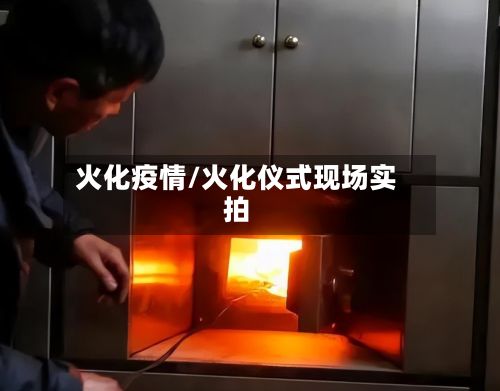 火化疫情/火化仪式现场实拍