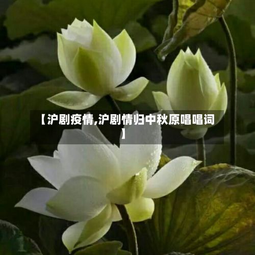 【沪剧疫情,沪剧情归中秋原唱唱词】