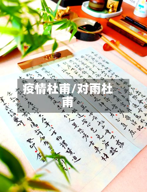 疫情杜甫/对雨杜甫-第2张图片
