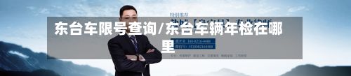 东台车限号查询/东台车辆年检在哪里