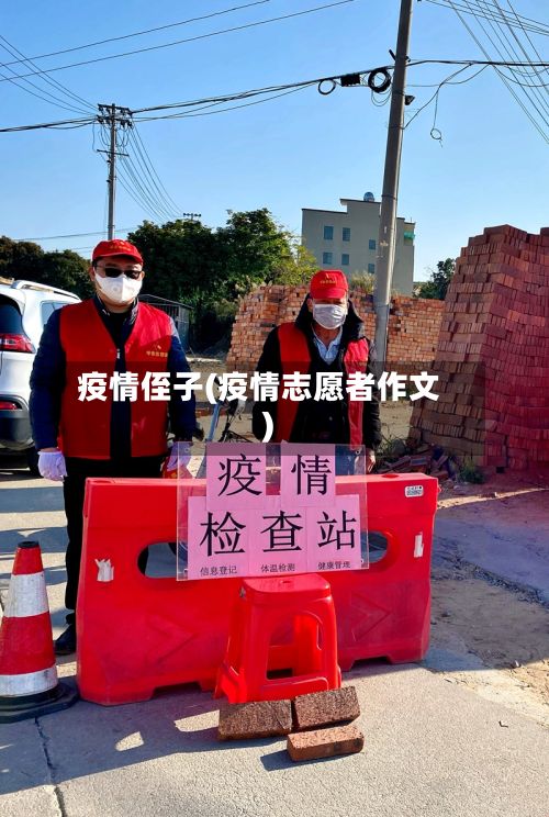 疫情侄子(疫情志愿者作文)-第2张图片