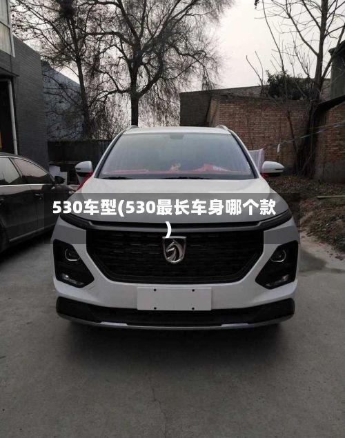 530车型(530最长车身哪个款)-第2张图片