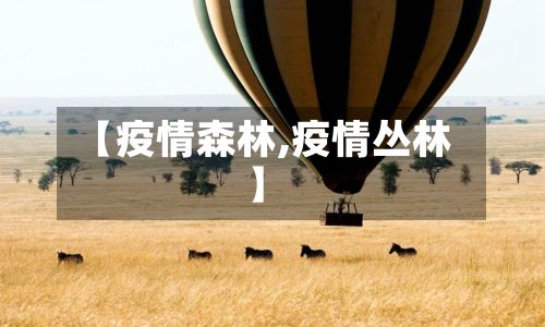 【疫情森林,疫情丛林】-第2张图片
