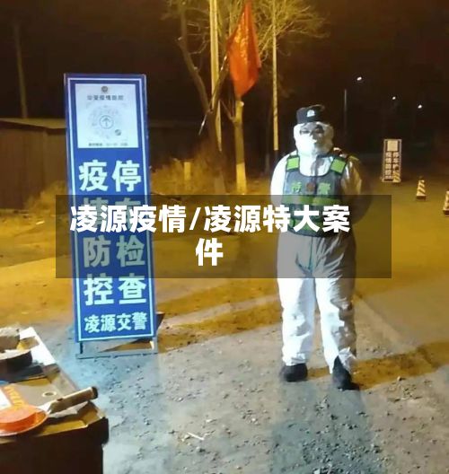 凌源疫情/凌源特大案件-第2张图片