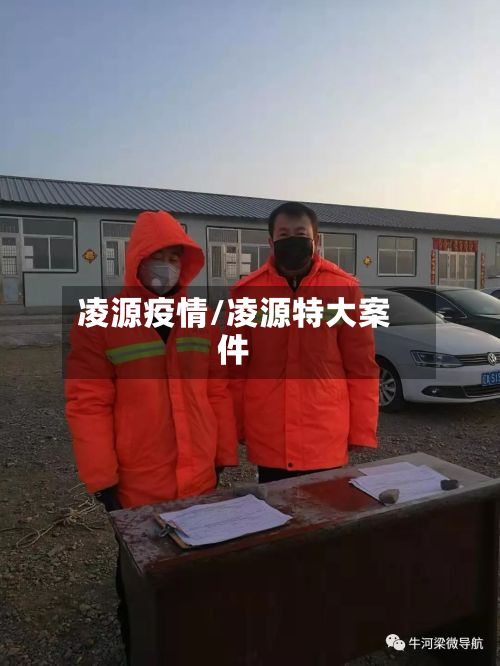 凌源疫情/凌源特大案件-第3张图片