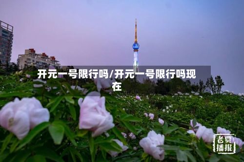 开元一号限行吗/开元一号限行吗现在