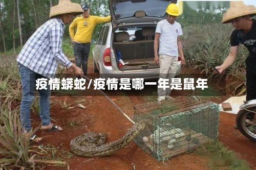 疫情蟒蛇/疫情是哪一年是鼠年