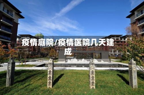 疫情庭院/疫情医院几天建成