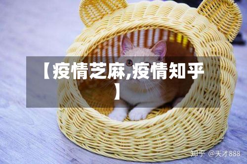 【疫情芝麻,疫情知乎】-第3张图片