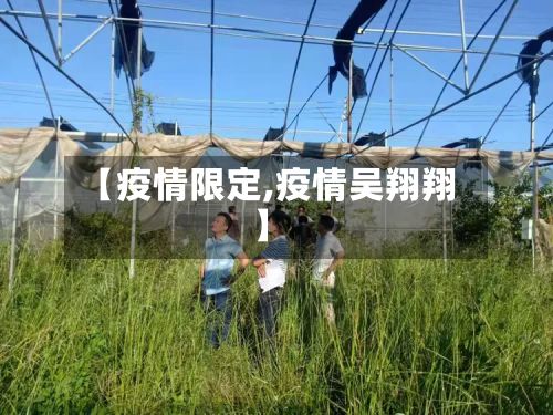 【疫情限定,疫情吴翔翔】-第3张图片