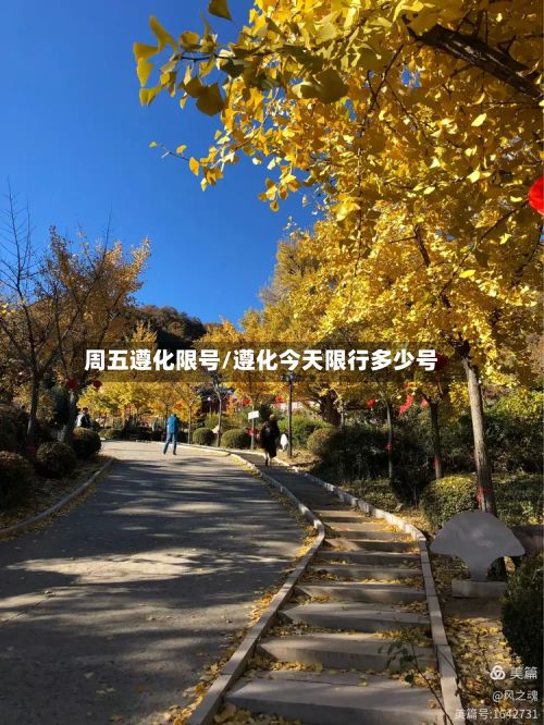 周五遵化限号/遵化今天限行多少号-第2张图片