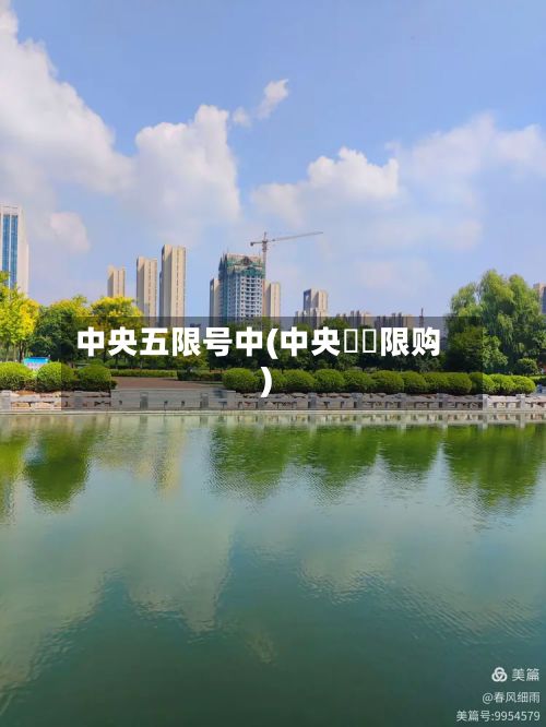 中央五限号中(中央雲璟限购)-第3张图片