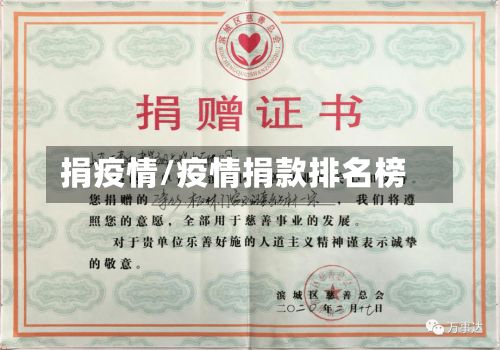捐疫情/疫情捐款排名榜