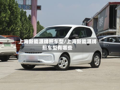 上海新能源牌照车型/上海新能源牌照车型有哪些