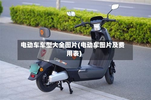 电动车车型大全图片(电动车图片及费用表)-第2张图片