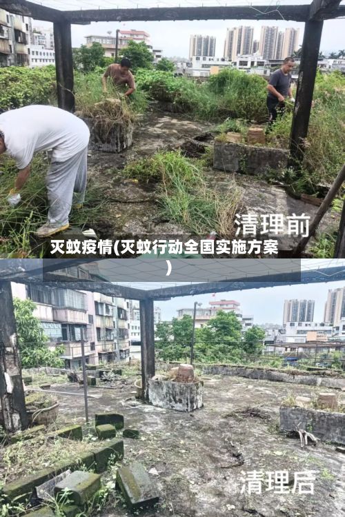 灭蚊疫情(灭蚊行动全国实施方案)