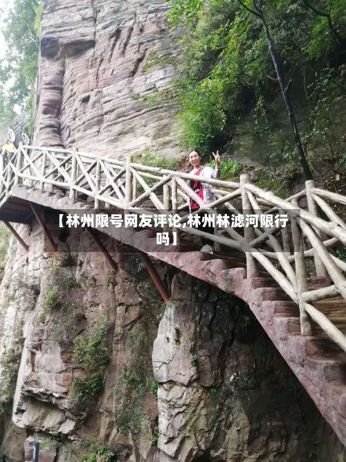 【林州限号网友评论,林州林滤河限行吗】-第2张图片