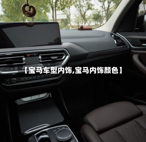 【宝马车型内饰,宝马内饰颜色】-第2张图片