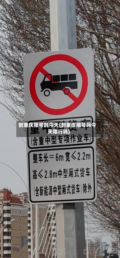 到重庆限号吗今天(到重庆限号吗今天限行吗)-第3张图片