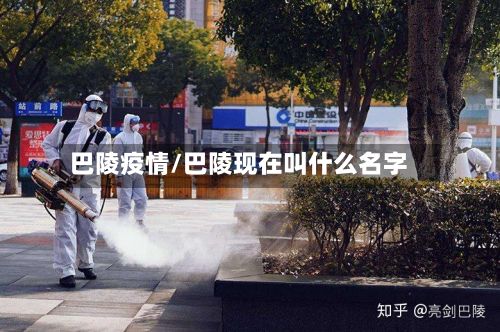巴陵疫情/巴陵现在叫什么名字