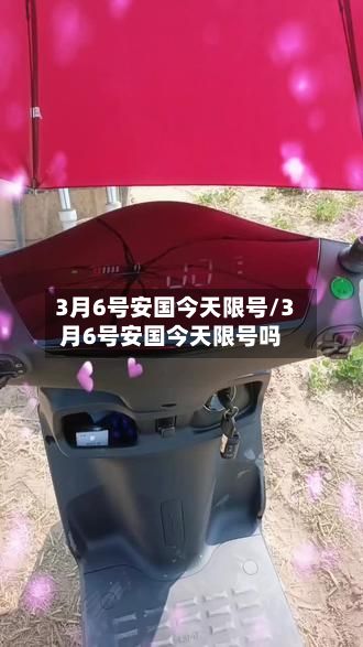 3月6号安国今天限号/3月6号安国今天限号吗-第2张图片