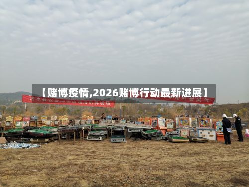 【赌博疫情,2026赌博行动最新进展】