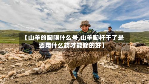 【山羊的脚限什么号,山羊脚杆干了是要用什么药才能修的好】-第2张图片