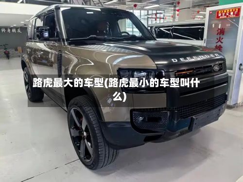 路虎最大的车型(路虎最小的车型叫什么)-第2张图片