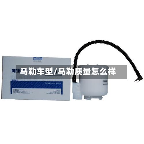 马勒车型/马勒质量怎么样-第2张图片