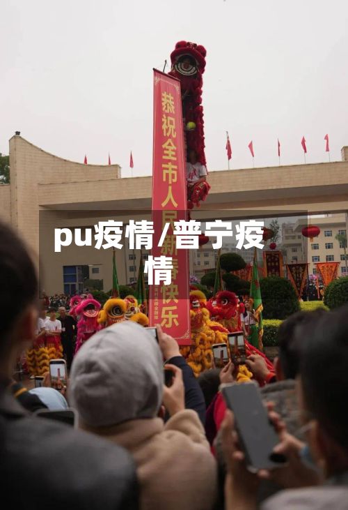 pu疫情/普宁疫情-第1张图片