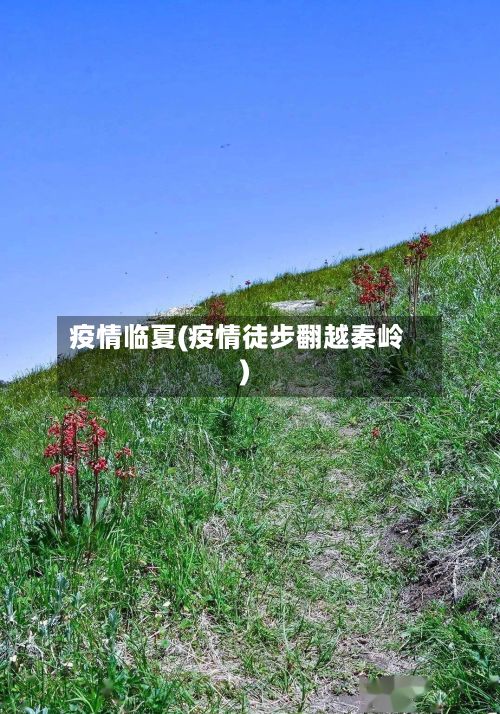 疫情临夏(疫情徒步翻越秦岭)-第2张图片