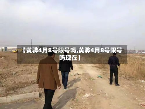 【黄骅4月8号限号吗,黄骅4月8号限号吗现在】-第2张图片