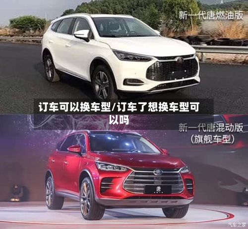 订车可以换车型/订车了想换车型可以吗-第2张图片